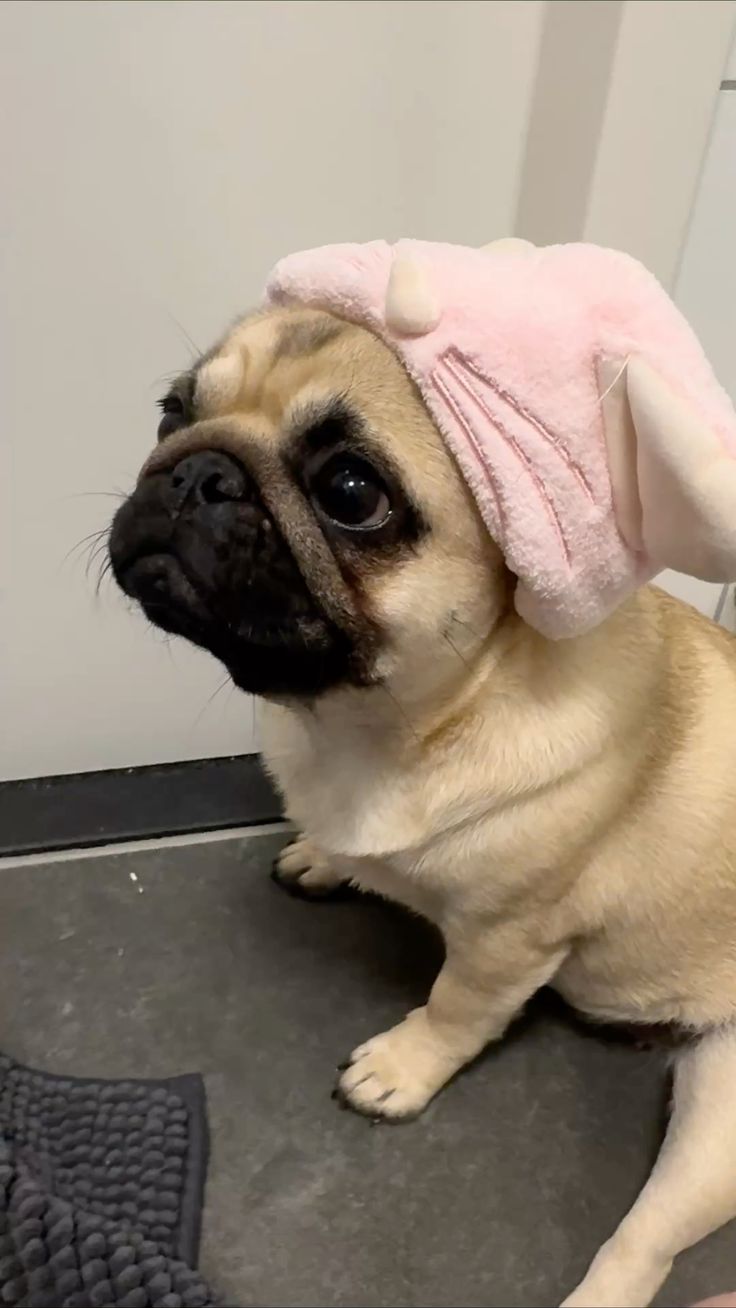 SLOT138 🎲 Server Thailand Situs Online Judi Slot Gacor Terpercaya Malam Ini image 1